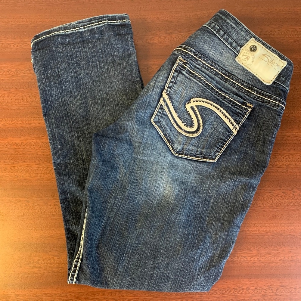 Silver Twisted Capri EUC